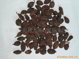 別義民油畫相關產品