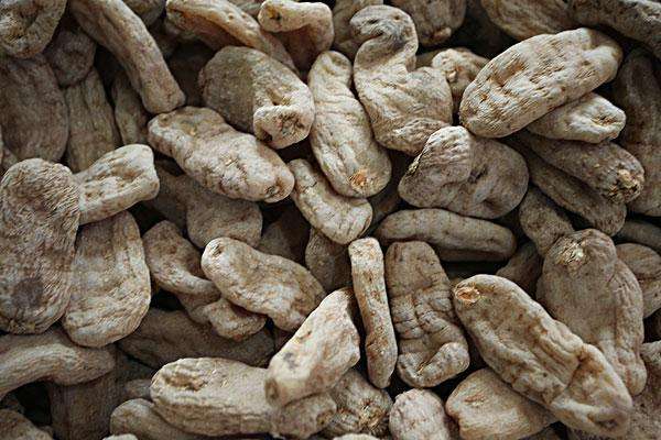 略陽(yáng)縣天麻資源綜合開(kāi)發(fā)項(xiàng)目