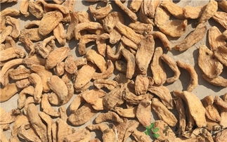 天麻補(bǔ)陰還是補(bǔ)陽(yáng)