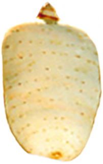 天人食品加盟 天人食品加盟多少錢(qián) 天人食品連鎖加盟店