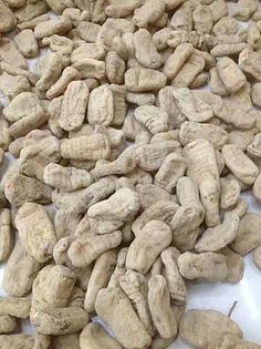 天麻 功效解析與現代應用